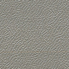 RC0299 ~ Ледерин серый